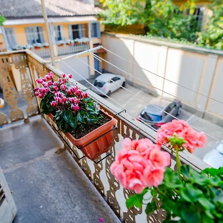 The Queen, Ac, Parking By Happyhostorino