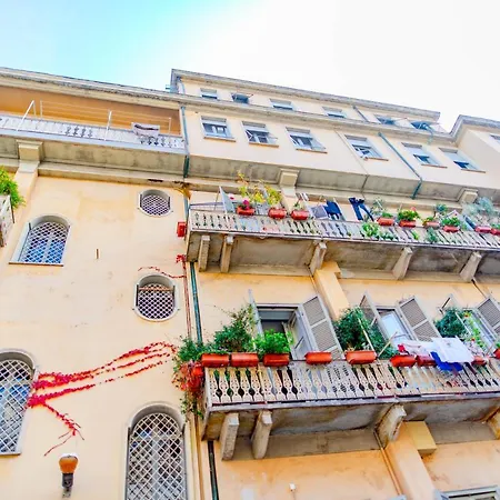 The Queen, Ac, Parking By Happyhostorino *